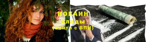 a pvp Каменка