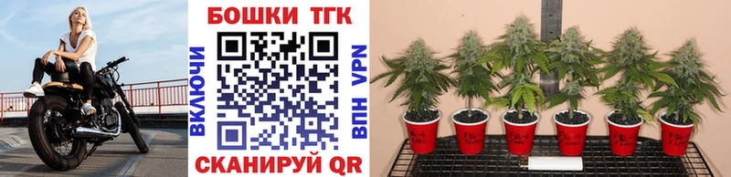 Каннабис White Widow  Купить где  Хилок 